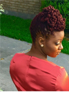 SISTERLOCKS hair styles